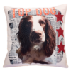 100% cotton canvas cushion, featuring our In The News design. Each Scribbleface gift is created by Francis Morrish at her photo design studio in Kent. Bespoke gifts that can be personalised with a favourite photograph.