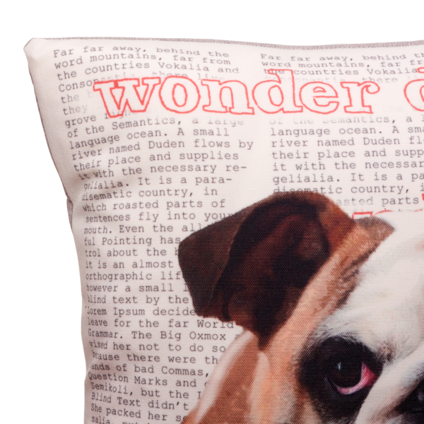 100% cotton canvas cushion, featuring our Wonder Dog design. Each Scribbleface gift is created by Francis Morrish at her photo design studio in Kent. Bespoke gifts that can be personalised with a favourite photograph.